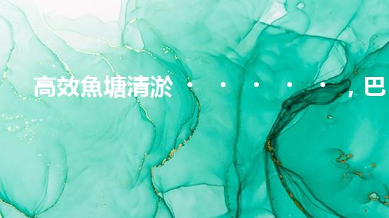 高效魚塘清淤，巴洛仕設備助力生態(tài)養(yǎng)殖